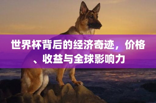 世界杯背后的经济奇迹，价格、收益与全球影响力
