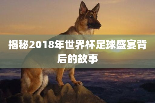 揭秘2018年世界杯足球盛宴背后的故事