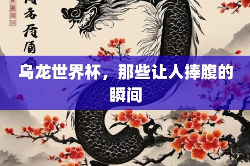 乌龙世界杯，那些让人捧腹的瞬间