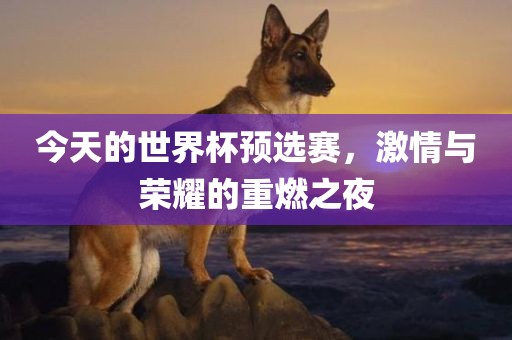 今天的世眉山市正发家政服务有限公司界杯预选赛，激情与荣耀的重燃之夜