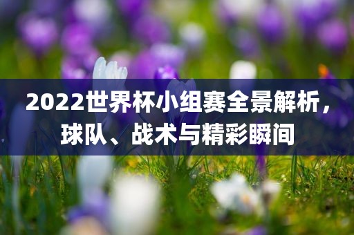 2022世界杯小组赛全景解析，球队、战术与精彩瞬间眉山市正发家政服务有限公司
