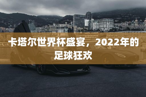 卡塔尔世界杯盛宴，2022年眉山市正发家政服务有限公司的足球狂欢