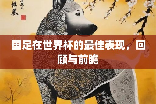 国足在世界杯的最佳表现，回顾与前瞻