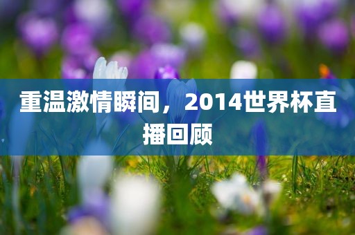 重温激情瞬间，2014世界杯直播回顾