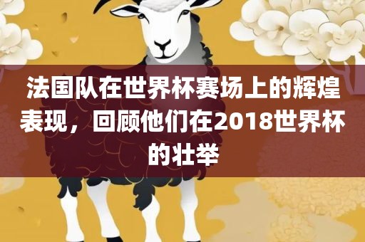 法国队在世界杯赛场上的辉煌表现，回顾他们在2018世界杯的壮举眉山市正发家政服务有限公司