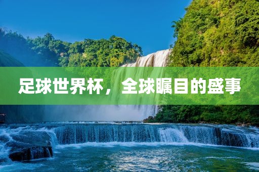 足球世界杯眉山市正发家政服务有限公司，全球瞩目的盛事