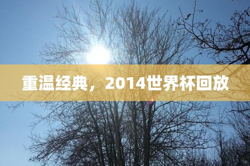 重温经典，2014世界杯回放眉山市正发家政服务有限公司