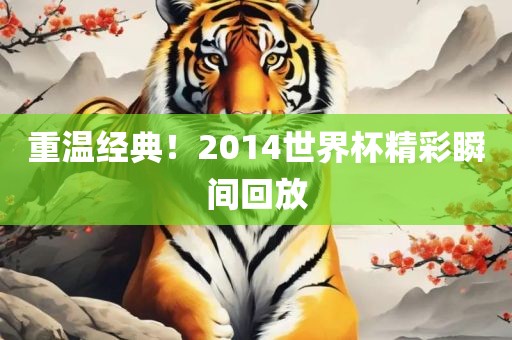 重温经典！2014世界杯精彩瞬间回放眉山市正发家政服务有限公司