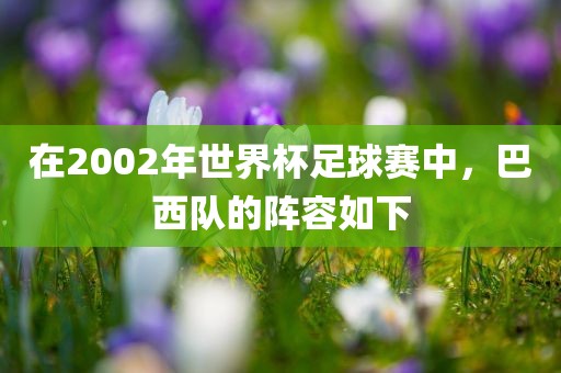 在2002年世界杯足球赛中，巴西队的阵容如下眉山市正发家政服务有限公司