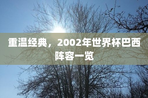 重温经典，2002年世界杯巴西阵容一览眉山市正发家政服务有限公司