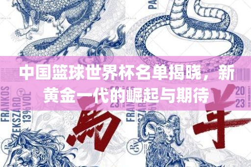 中国篮球世界杯名单揭晓，新黄金一代的崛起与期待眉山市正发家政服务有限公司