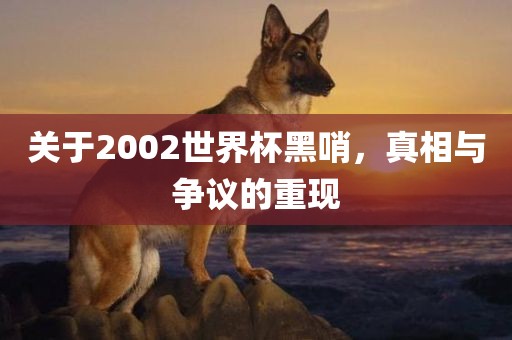关于2002世界杯黑哨，真相与争议的重现