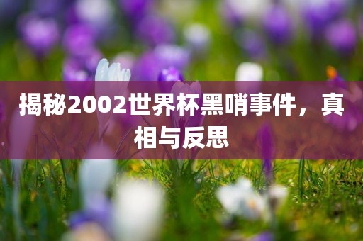 揭秘2002世界杯黑哨事件，真相与反思