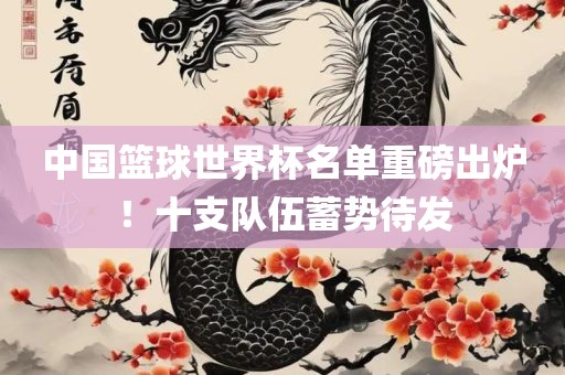 中国篮球世界杯名单重眉山市正发家政服务有限公司磅出炉！十支队伍蓄势待发