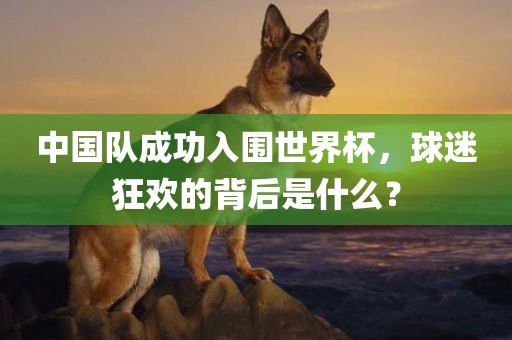中国队成功入围世界杯，球迷狂欢的背后是什么？