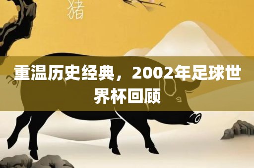 重温历史经典，2002年足球世界杯回顾