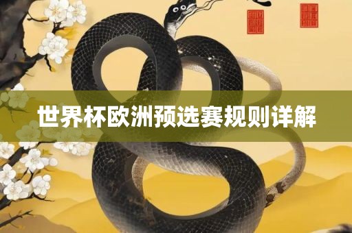 世界杯欧洲预选赛规则详解