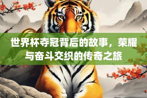 世界杯夺冠背后的故事，荣耀与奋斗交织的传奇之旅