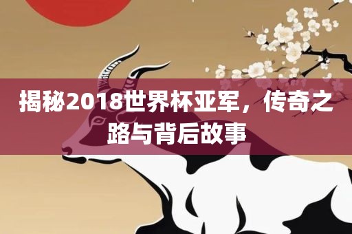 揭秘2018世界杯亚军，传奇之路与背后故事