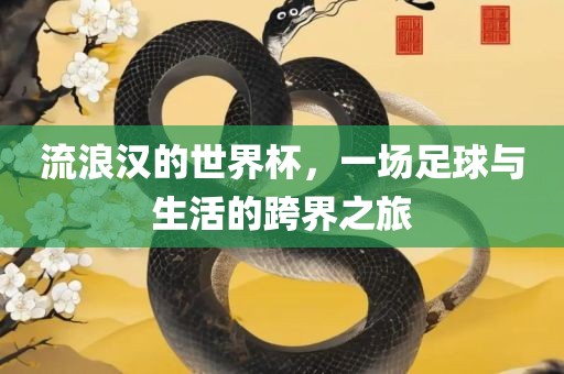 流浪汉的世界杯，一场足球与生活的跨界之旅眉山市正发家政服务有限公司