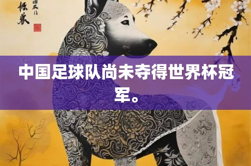中国足球队尚未夺得世界杯冠军。