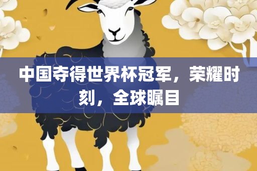 中国夺得世界杯冠军，荣耀时刻，全球瞩目