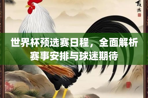 世界杯预选赛日程，全面解析赛事安排与球迷期待