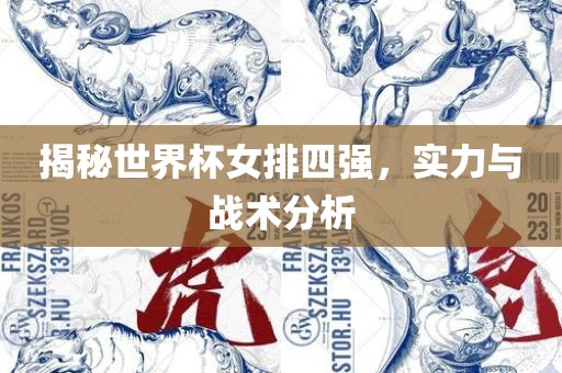 揭秘世界杯女排四强，实力与战术分析