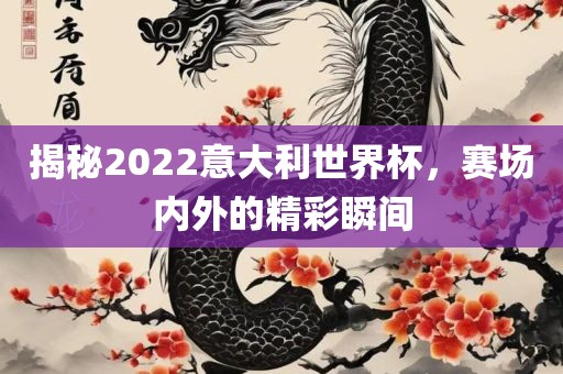 揭秘2022意大利世界杯，赛场内外的精彩瞬间
