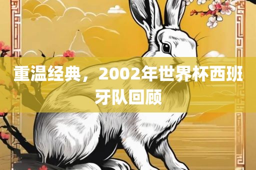 重温经典，2002年世界杯西班牙队回顾