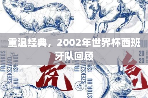 重温经典，2002年世界杯西班牙队回顾