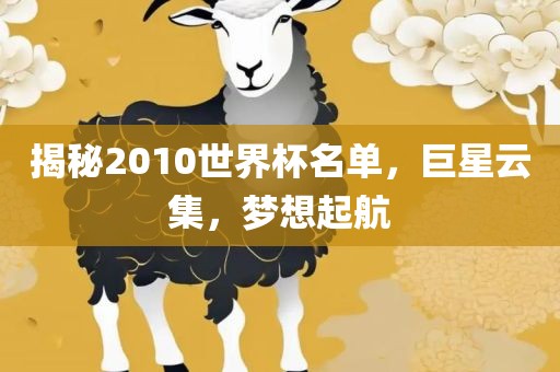 揭秘2010世界杯名单，巨星云集，梦想起航