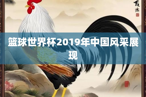 篮球世界杯2019年中国风采展现眉山市正发家政服务有限公司