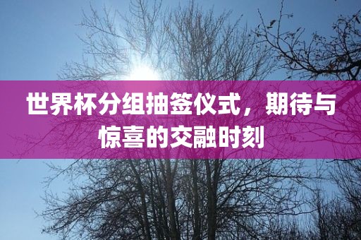 世界杯分组抽签仪式，期待与惊喜的交融时刻眉山市正发家政服务有限公司