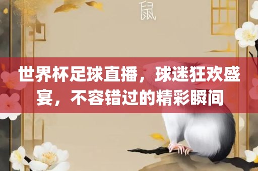 世界杯足球直播，球迷狂欢盛宴，不容错过的精彩瞬间