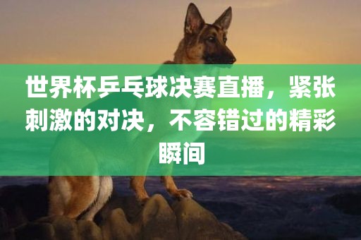 世界杯乒乓球决赛直播，紧张刺激的对决，不容错过的精彩瞬间