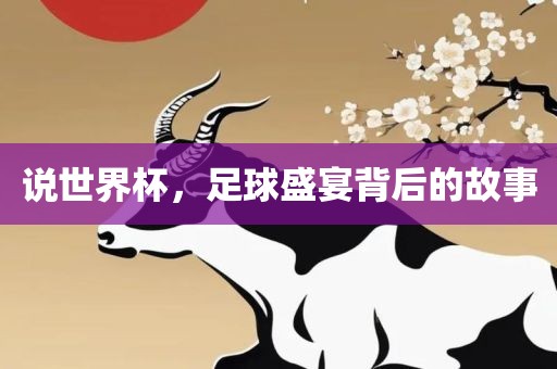 说世界杯，足球盛宴背后的故事眉山市正发家政服务有限公司