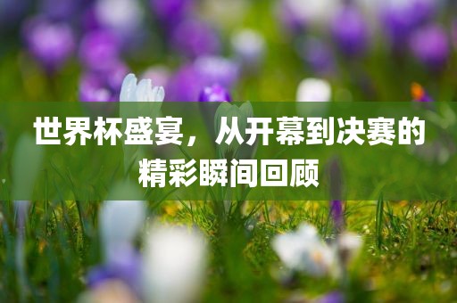 世界杯盛宴，从开幕到决赛的精彩瞬间回顾眉山市正发家政服务有限公司