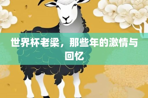 世界杯老梁，那些年的激情与回忆眉山市正发家政服务有限公司