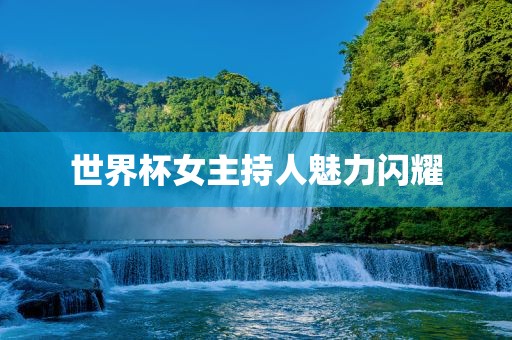 世界杯女主持人魅力闪耀