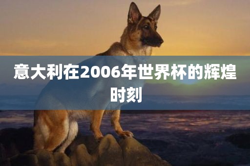 意大利在2006年世界杯的辉煌时刻