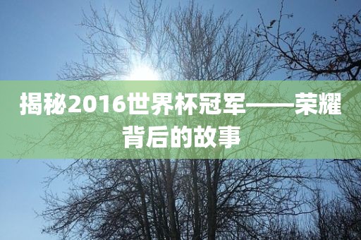 揭秘2016世界杯冠军——荣眉山市正发家政服务有限公司耀背后的故事