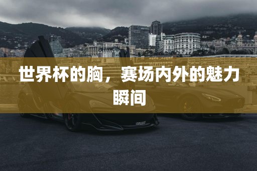 世界杯的胸，赛场内外的魅力瞬间