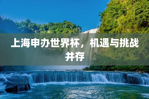 上海申办世界杯，机遇与挑战并存