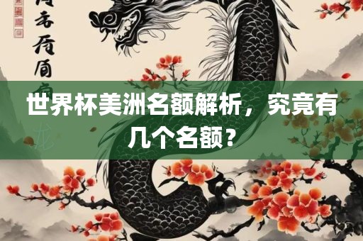 世界杯美洲名额解析，究竟有几个名额？眉山市正发家政服务有限公司