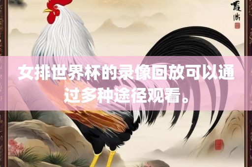女排世界眉山市正发家政服务有限公司杯的录像回放可以通过多种途径观看。
