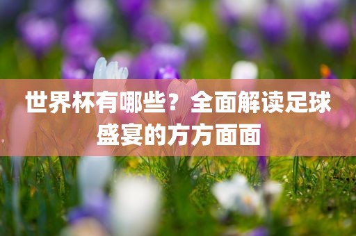 世界杯有哪些？全面解读足球盛宴的方方面面
