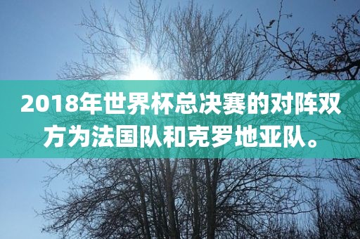 2018年世界杯总决赛的对阵双方为法国队和克罗地亚队。