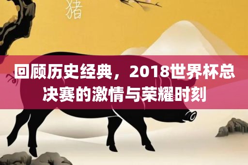 回顾历史经典，2018世界杯总决赛的激情与荣耀时刻