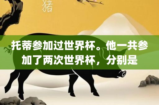 托蒂参加过世界杯。他一共参加了两次世界杯，分别是